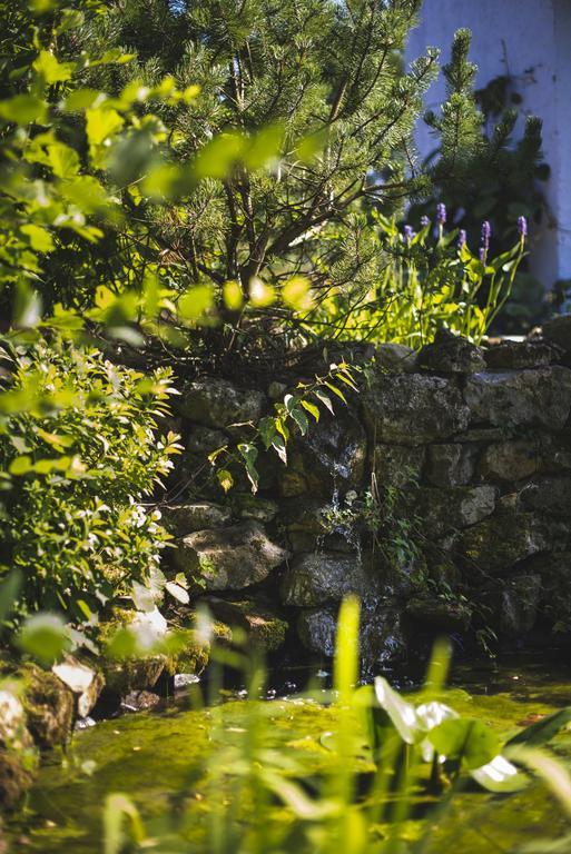 Domaine De Terrac Bed and Breakfast Rimont Buitenkant foto