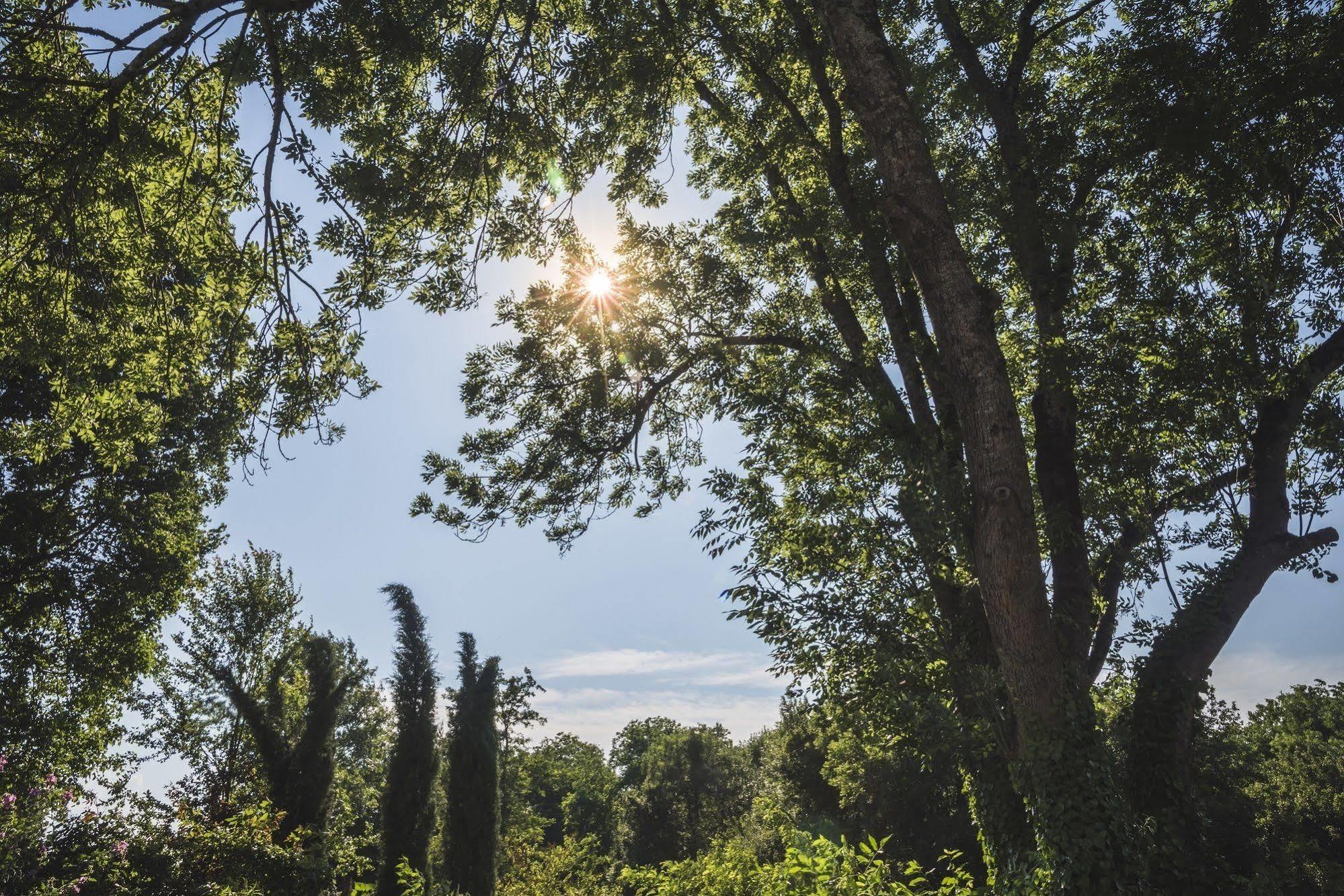 Domaine De Terrac Bed and Breakfast Rimont Buitenkant foto